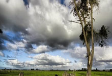 发光格栅+智能大灯，全新奔驰S级还有哪些新科技？